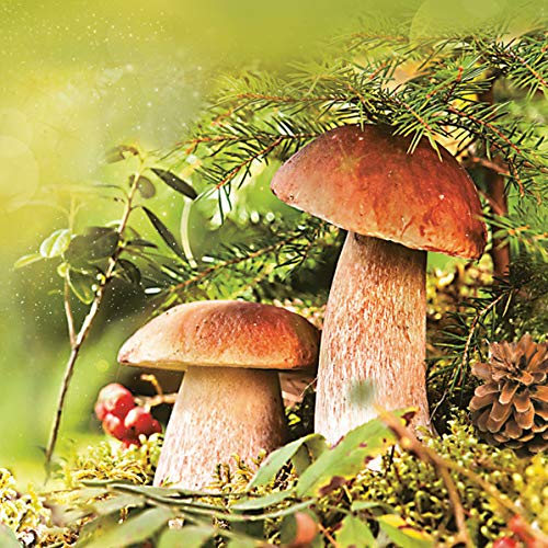 20 Servietten Saison der Steinpilze | Pilze | Herbst | Tischdeko 33x33cm von Serviettenshop