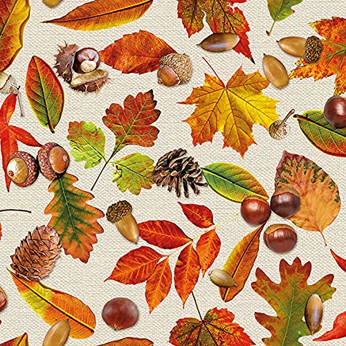 20 Servietten Sammlung herbstlicher Blätter | Natur | Herbst | Tischdeko 33x33cm von Serviettenshop