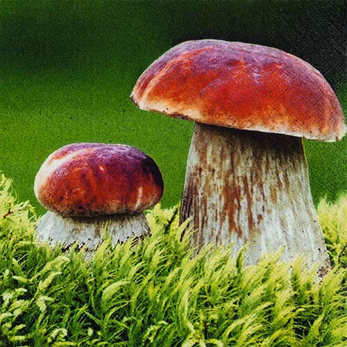 20 Servietten Steinpilze in der Natur als Tischdeko für den Herbst 33x33cm von Serviettenshop