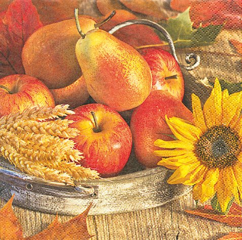 20 Servietten Thanksgiving - Erntedankfest/Herbst/Fr?chte 33x33cm von Serviettenshop