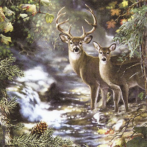 20 Servietten Deers on a Creek - Hirsche am Bach 33x33cm von Servietten Hirsch und Wald