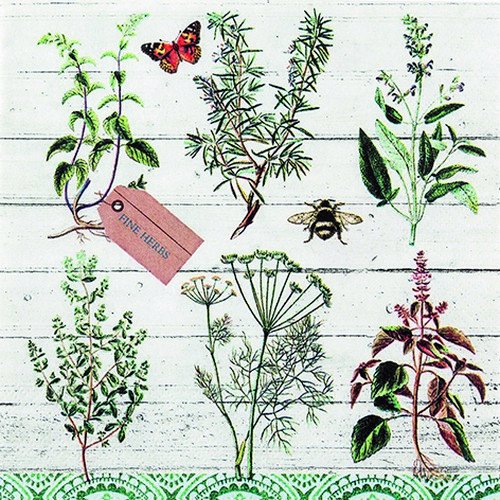 20 Servietten Pflanzenbestimmung/Garten/Blumen/Sommer 33x33cm von Servietten Natur und Garten