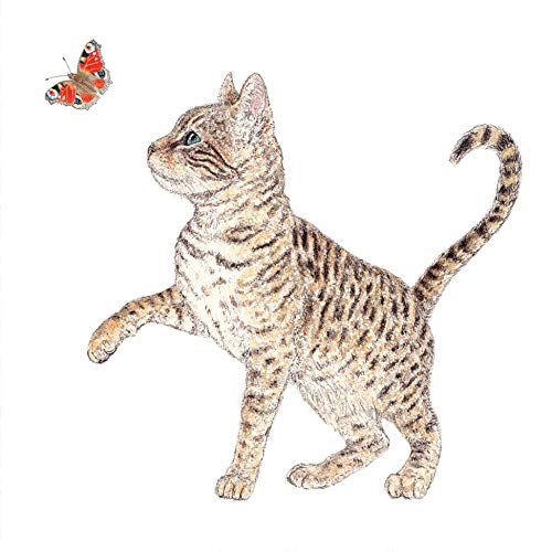 20 Servietten Katze mit Schmetterling | Tiere | Tischdeko 33x33cm von Servietten Tiere