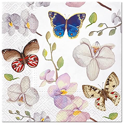 20 Servietten Schmetterlinge an Orchideen | Tiere | Tiermotiv | Frühling | Sommer | Ostern | Tischdeko 33x33cm von Servietten Tiere