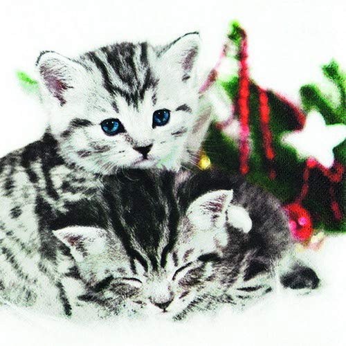 20 Servietten Süßes Katzenpaar als Tischdeko für Liebhaber von Katzen 33x33cm von Servietten Tiere