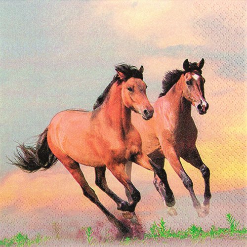 20 Servietten Wild Horses Wilde Pferde/Tiere/Tiermotiv 33x33cm von Servietten Tiere