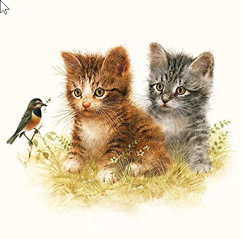 20 Servietten Zugängliche Katzen als Tischdeko für Liebhaber von Tiere 33x33cm von Servietten Tiere