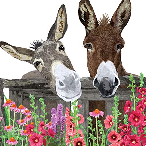 20 Servietten Zwei neugierige Esel | Tiere | Blumen | Frühling | Sommer 33x33cm von Servietten Tiere