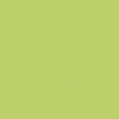 20 Servietten Unicolor anise green - grün / einfarbig / Uni 33x33cm von Servietten Uni