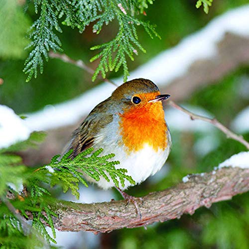 20 Servietten Bunter Vogel im Winterbaum | Natur | Tiere | Tischdeko 33x33cm von Servietten Weihnachten