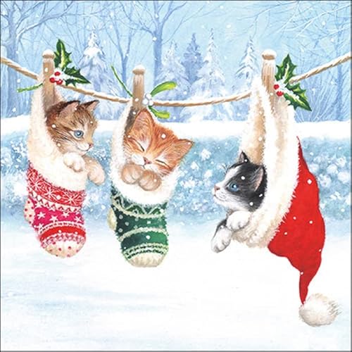 20 Servietten Knuffige Katzen in Wintersocken | Weihnachten | Tischdeko 33x33cm von Servietten Weihnachten