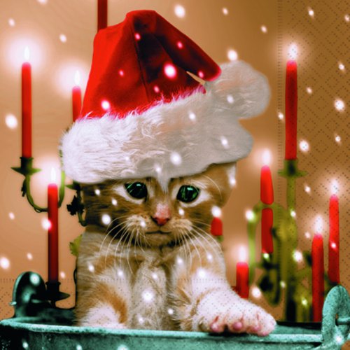 20 Servietten Sleepy Cat – Verträumte Katze/Winter/Weihnachten 33x33cm von Servietten Weihnachten