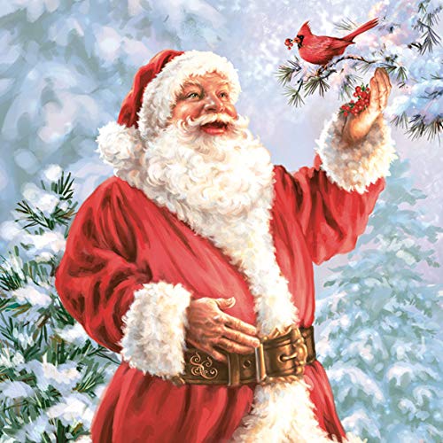20 Servietten Weihnachtsmann redet mit Vogel | Weihnachten | Winter 33x33cm von Servietten Weihnachten