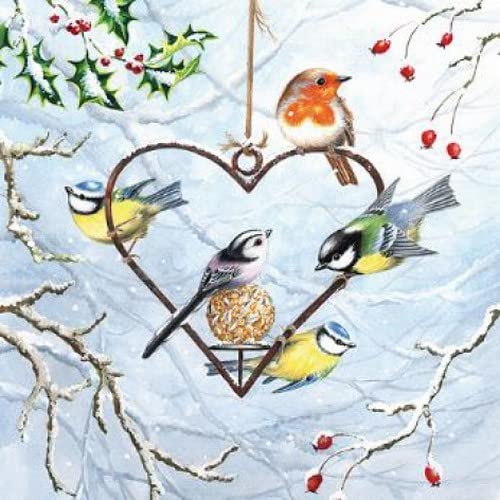 20 Servietten WinterVögel an Herz/Vogel/Tiere/Winter/Weihnachten 33x33cm von Servietten Weihnachten