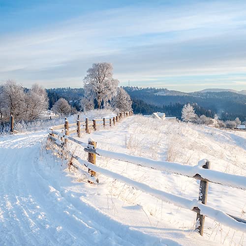 20 Servietten Winterweg | Schnee | Natur | Winter | Weihnachten | Tischdeko 33x33cm von Servietten Weihnachten