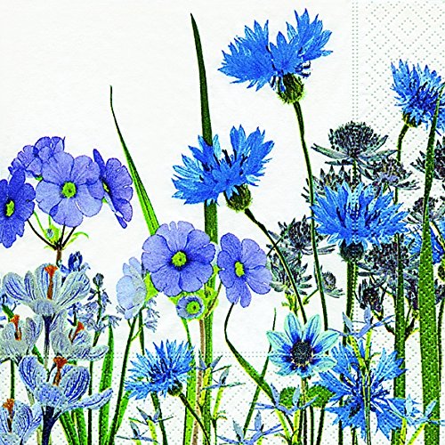 20 Servietten Blaue Blumenwiese/Blumen/Kornblumen/Garten 33x33cm von Serviettenshop