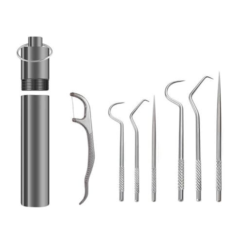 Sessleger Zahnstocher-Set aus Metall und Zähnen, tragbarer Zahnstocher aus Metall zur Reinigung der Zähne, Mundreinigungswerkzeug. von Sessleger
