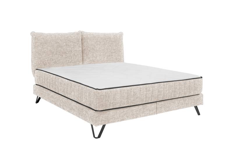 Set One by Musterring Boxspringbett BALDWIN in Stoff Ted 24 Ivory von Set One by Musterring