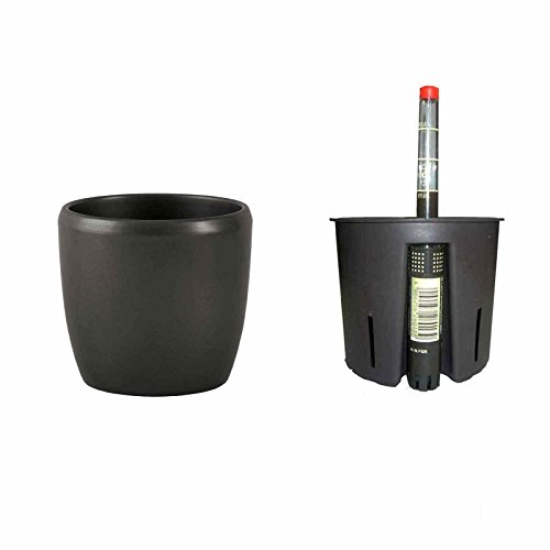 Set Blumentopf Venus 09/07 dunkel Silber Ø 11.5 H 8cm+Kulturtopf+Wasserstandsanzeiger Set Blumentopf Venus 09/07 dunkel Silber Ø 11.5 H 8cm+Kulturtopf+Wasserstandsanzeiger von Set´s für Hydropflanzen