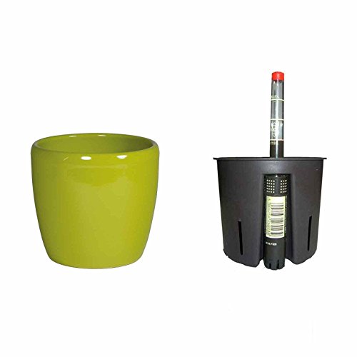 Set Blumentopf Venus 09/07 schilfgruen Ø 11.5 H 8cm+Kulturtopf+Wasserstandsanzeiger Set Blumentopf Venus 09/07 schilfgruen Ø 11.5 H 8cm+Kulturtopf+Wasserstandsanzeiger von Set´s für Hydropflanzen