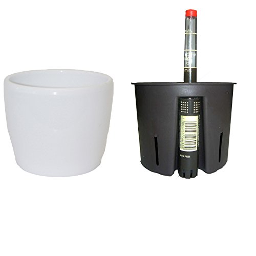 Set Blumentopf Venus 13/12 Weiss Ø 16cm Höhe 14cm+Kulturtopf+Wasserstandsanzeiger von Set´s für Hydropflanzen