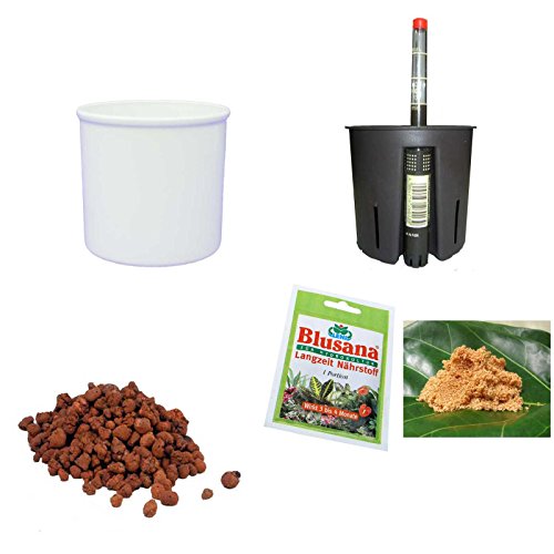 Set´s für Hydropflanzen Set5 Blumentopf Corona 11/09 Weiss Ø 12.5cm H 09.5cm +KT+WA+BT+HD50 Set´s für Hydropflanzen Set5 Blumentopf Corona 11/09 Weiss Ø 12.5cm H 09.5cm +KT+WA+BT+HD50 von Set´s für Hydropflanzen