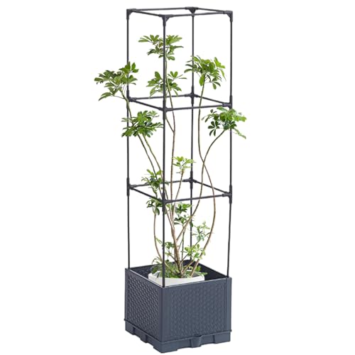 Setauoo Gitter Rankhilfe - Pflanzen Rankgitter Stütze | Natürliches Vertikales Gitter Für Garten Balkon Rosen Gurken Gemüse von Setauoo