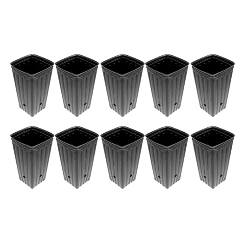 Setauoo Keimlingstassen, Topftöpfe | 10x Garden Plant Nursery Cups | Kindergarten kleine Sämlinge Blütenbehälter mit Entwässerungsloch zum Pflanzen von Setauoo