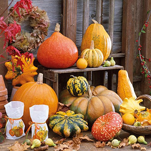 Ambiente Servietten Lunch / Party / ca. 33x33cm Herbst - Autumn - Pumpkins picture - Kurbis von Setita