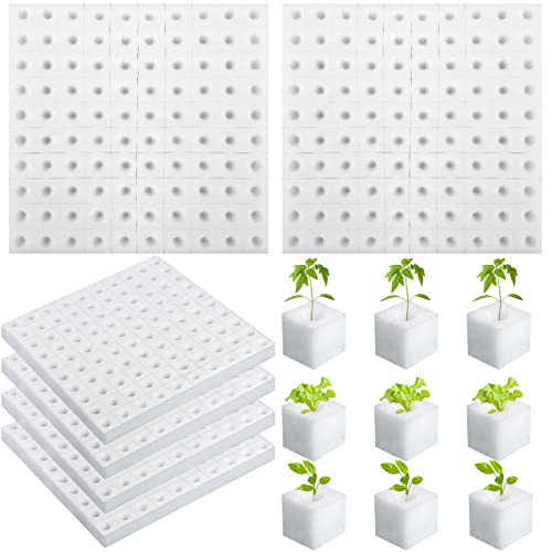 600 Pack Hydroponic Sponge Planting Tool Square Seedling Sponges Greenhouse Hydroponic Sponge Hydroponic Vegetable Planting Sponge for Small Bud Growth 600 Pack Hydroponic Sponge Planting Tool Square Seedling Sponges Greenhouse Hydroponic Sponge Hydroponic Vegetable Planting Sponge for Small Bud Growth von SevenMye