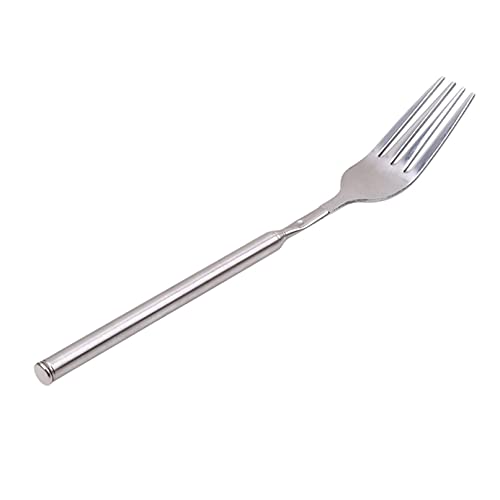 Sevenfly Edelstahl Abendessen Gabel BBQ Teleskop Ausziehbar Abendessen Obst Dessert Lange Griff Gabel Edelstahl Besteck BZ306,Silber von Sevenfly