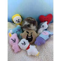 Bt21 Bts Chibi Kawaii Mint Stofftier Igel Spielzeug Kleintier Käfig Buddy von SewMagickBoutique