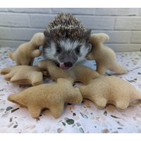 Dynomite Dino Nuggies Nugget Form Mint Gefüllte Igel Spielzeug Kleintier Käfig Buddy Foto Requisite von SewMagickBoutique