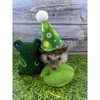 Hoppy Der Frosch Und Lilie Party Box Geburtstag Gotcha Day Adoption Feier Mint Gefüllt Igel Spielzeug von SewMagickBoutique