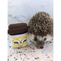 Reise Getränketasse Kaffee Teetasse Mint Stofftier Igel Spielzeug Kleintier Käfig Kumpel von SewMagickBoutique