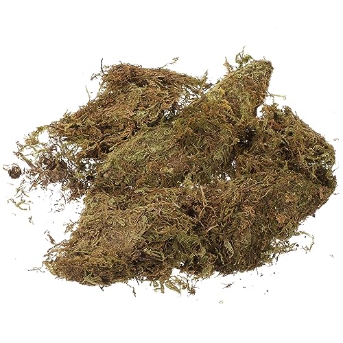 Sewroro 2 Packungen Trockenmoos für Blumenpotte Natürliches Moos für DIY Gartenprojekte Mikroszenen und Dekoration für Terrarien und Kreative Bastelideen von Sewroro