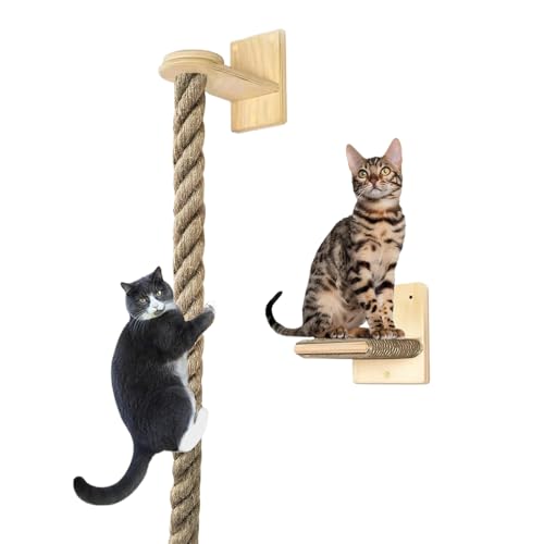Seyrnicay Kletterseil für Katzen, Kätzchen, Kletterleiter – Wandmontierte Springtreppe für Haustiere, Kätzchen, Kratzregale von Seyrnicay