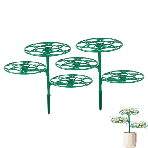 Sghtil Blumenstützstangen, Pflanzenstützen für den Außenbereich - 2 Stück Pflanzenständer, Rankhilfe für Blumentöpfe für kleine Pflanzen, Gemüse, Zimmerpflanzen Sghtil Blumenstützstangen, Pflanzenstützen für den Außenbereich - 2 Stück Pflanzenständer, Rankhilfe für Blumentöpfe für kleine Pflanzen, Gemüse, Zimmerpflanzen von Sghtil