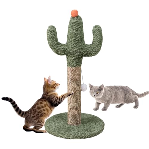 Sghtil CACTUS CAT Tree Katzenkratzer - Kratzpost von grünen - Natürliche weiche Stoff-Katzenstangen mit interaktiven Kratzpfosten für alle Rassen im Innenbereich Sghtil CACTUS CAT Tree Katzenkratzer - Kratzpost von grünen - Natürliche weiche Stoff-Katzenstangen mit interaktiven Kratzpfosten für alle Rassen im Innenbereich von Sghtil