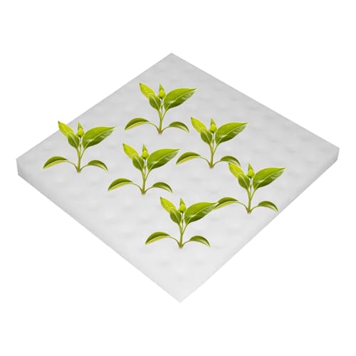 Sghtil – Hydrokulturschwämme für das Wachstum – Wiederverwendbares Anbauwerkzeug zur Keimung von Tomaten Salat für Innen- und Außenbereich Balkon Garten von Sghtil