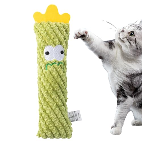 Sghtil Katzenspiele für Indoor-Katzen, sicheres Zahnreinigungsspielzeug, Kaktus-Spielzeug, Anreicherungsspiel mit Design für beißende Tritte, Stressabbau für Haustiere Sghtil Katzenspiele für Indoor-Katzen, sicheres Zahnreinigungsspielzeug, Kaktus-Spielzeug, Anreicherungsspiel mit Design für beißende Tritte, Stressabbau für Haustiere von Sghtil