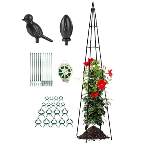 Sghtil Metall Rankgitter - Pflanzenstütze Für Mit Kletterhilfe | Höhenverstellbare A-Frame Pflanzenstütze 160 cm Pflanzgitter Für Obst Rankpflanzen Gartenzubehör Dekoration Sghtil Metall Rankgitter - Pflanzenstütze Für Mit Kletterhilfe | Höhenverstellbare A-Frame Pflanzenstütze 160 cm Pflanzgitter Für Obst Rankpflanzen Gartenzubehör Dekoration von Sghtil