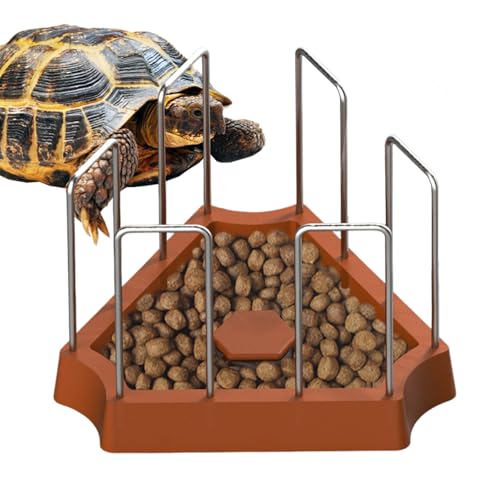 Sghtil Schildkröten Wasserspender, Futternapf Für Reptilien Und Futter Schale, Dreieckiges Fütterungszubehör Haustierbedarf Für Reptilien Frösche Schlangen Eidechsen Gehege Sghtil Schildkröten Wasserspender, Futternapf Für Reptilien Und Futter Schale, Dreieckiges Fütterungszubehör Haustierbedarf Für Reptilien Frösche Schlangen Eidechsen Gehege von Sghtil