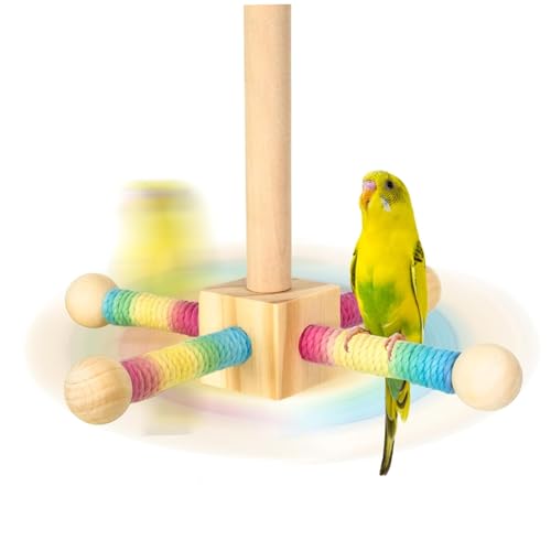 Sgqtqybk Vogelstangen für Käfig, farbenfrohe 360 ​​° rotierende Holzpapagei von Sgqtqybk