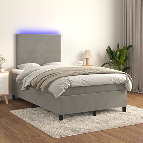 ShGaxin Boxspringbett mit Matratze & Hellgrau 120x200 cm Samt, Bett, Bettgestell, Jugendbett, Schlafzimmer Bett, Bed Frame 3135993 von ShGaxin