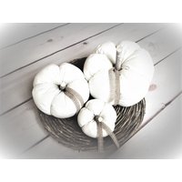 Kürbis-Set -White Pumpkin- Im Shabby-Chic - Gr. M Kürbis-Set -White Pumpkin- Im Shabby-Chic - Gr. M von ShabbyVintageHouseDE