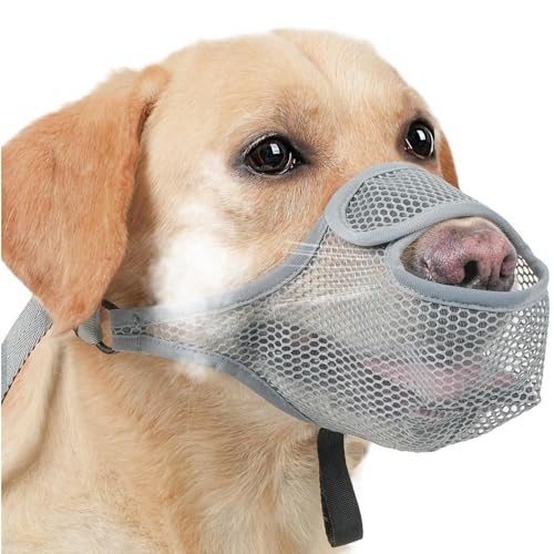 Shaersu Anti -Rinde -Mündung, Hundebark Mündung | Mesh Korb Mundabdeckung zum Bellen beißende Prävention | Einstellbare weiche Mesh -Mündung, Scavenging Licking Prevention für Freunde, Familien von Shaersu