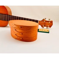 streuer-Nistkasten , Kirsche #4 streuer-Nistkasten , Kirsche #4 von ShakerDesignsByRSimo