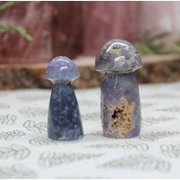 A + Traubenachat Pilz Paar Mit Druzy, 1.4 Unzen Geschnitzte Lila Kristallpilze Aus Indonesien von ShamanicCrystals