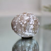 Gesprenkelte Ozean Jaspis Polierte Kristall Freeform, 3.1 Unze A + Qualität Scheibenstein, Madagaskar von ShamanicCrystals